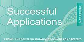 Novel mutant strains of Rhodosporidium toruloides by plasma mutagenesis approach and their tolerance for inhibitors in lignocellulosic hydrolyzate