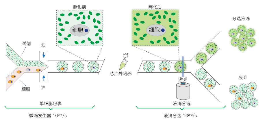 微信截图_20190715134954